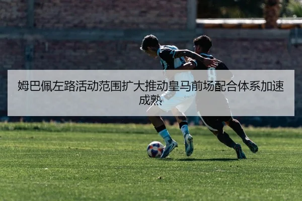 img_1783268177868_1247_1_813.jpg
